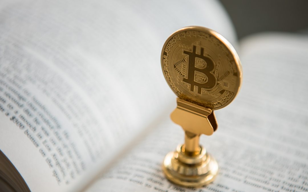 Bitcoin v makru převažuje nad mikrem