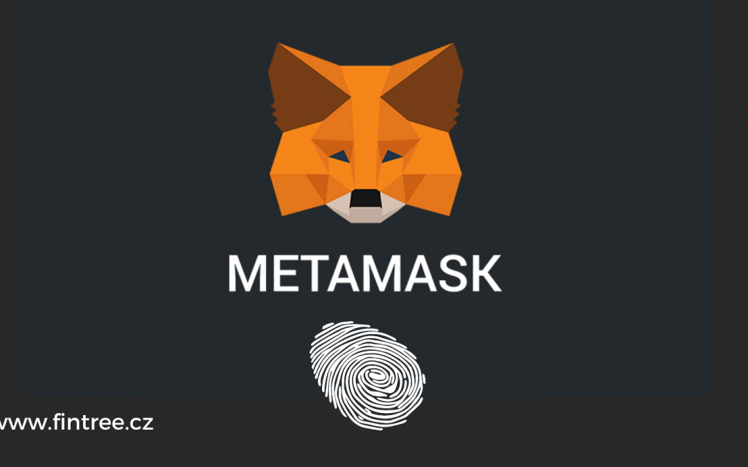MetaMask – recenze peněženky pro vaše krypto i NFT