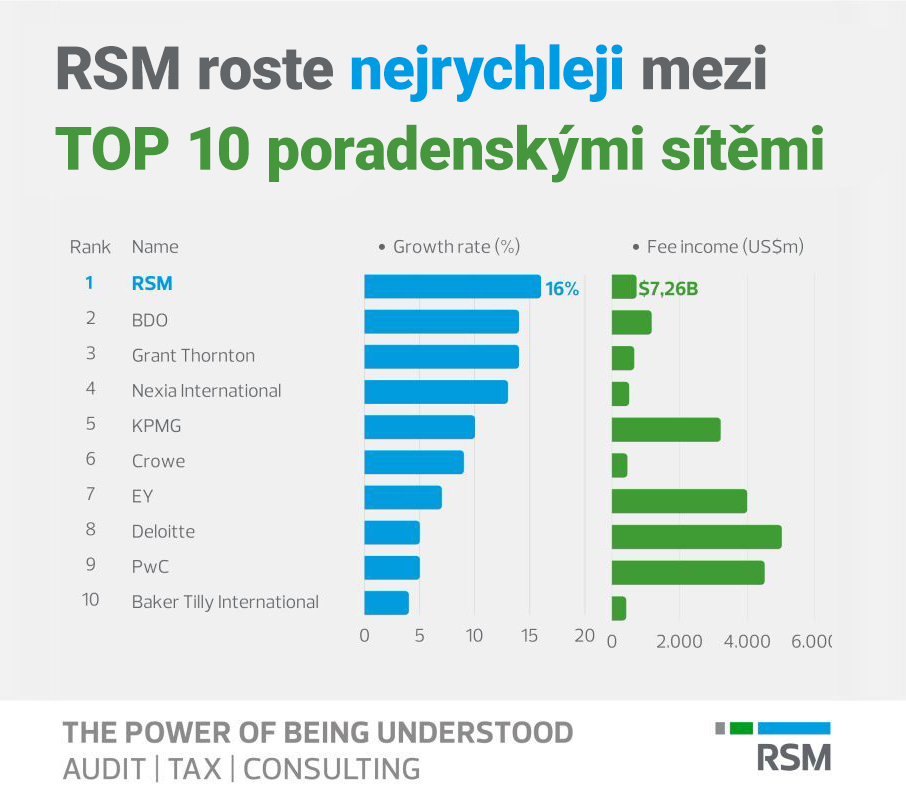RSM_rust - konzultační byznys