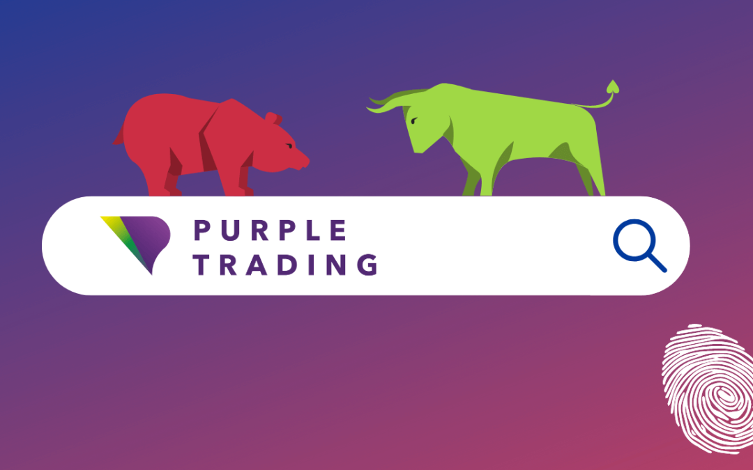 Recenze a pohled na Purple Trading
