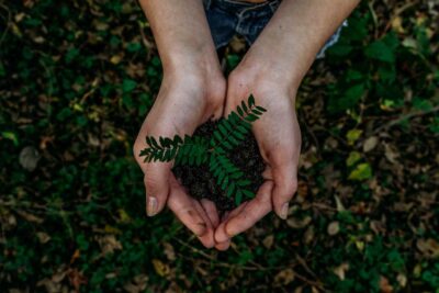 FinTech Portu spustil Odpovědná portfolia. Nabídne tak udržitelné a&nbsp;ESG investování.