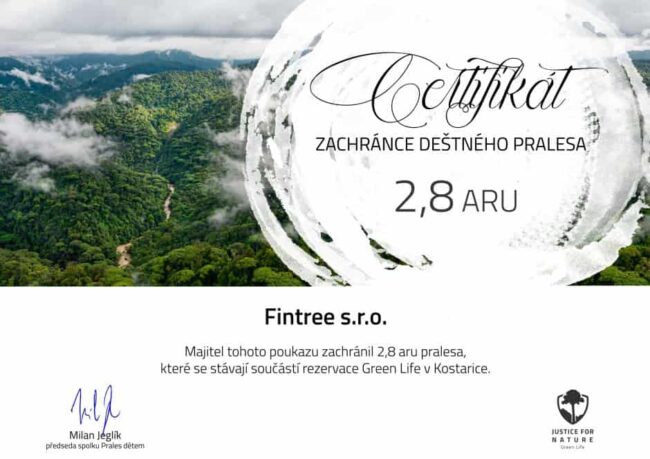 fintree-prales-detem