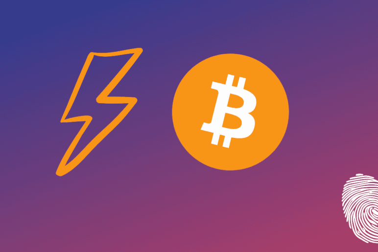 Nejpoužívanější Lightning peněženky pro rok 2023