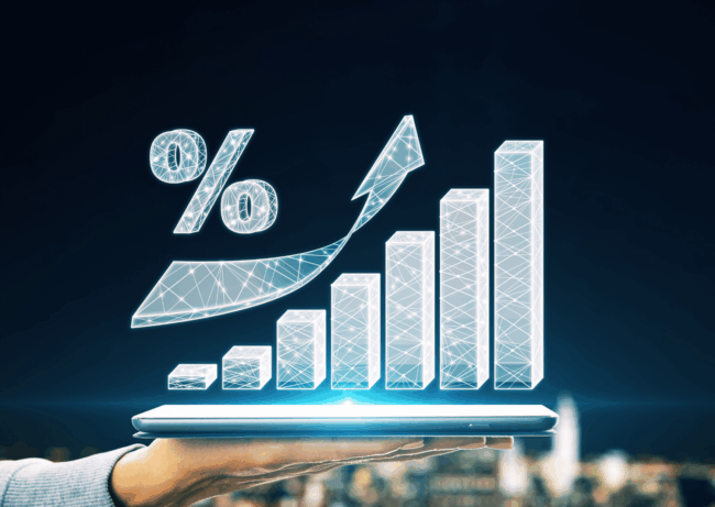 ronda invest - investiční P2B platforma 3